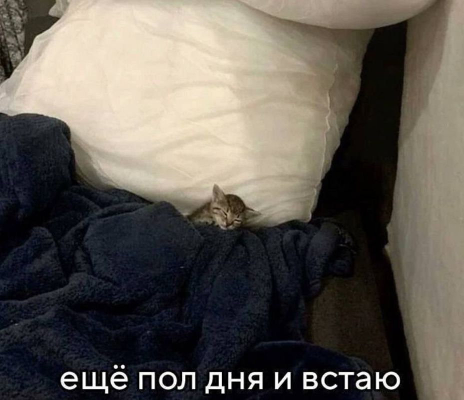 ������ ����, ������!. ����� ������� ���� ���������