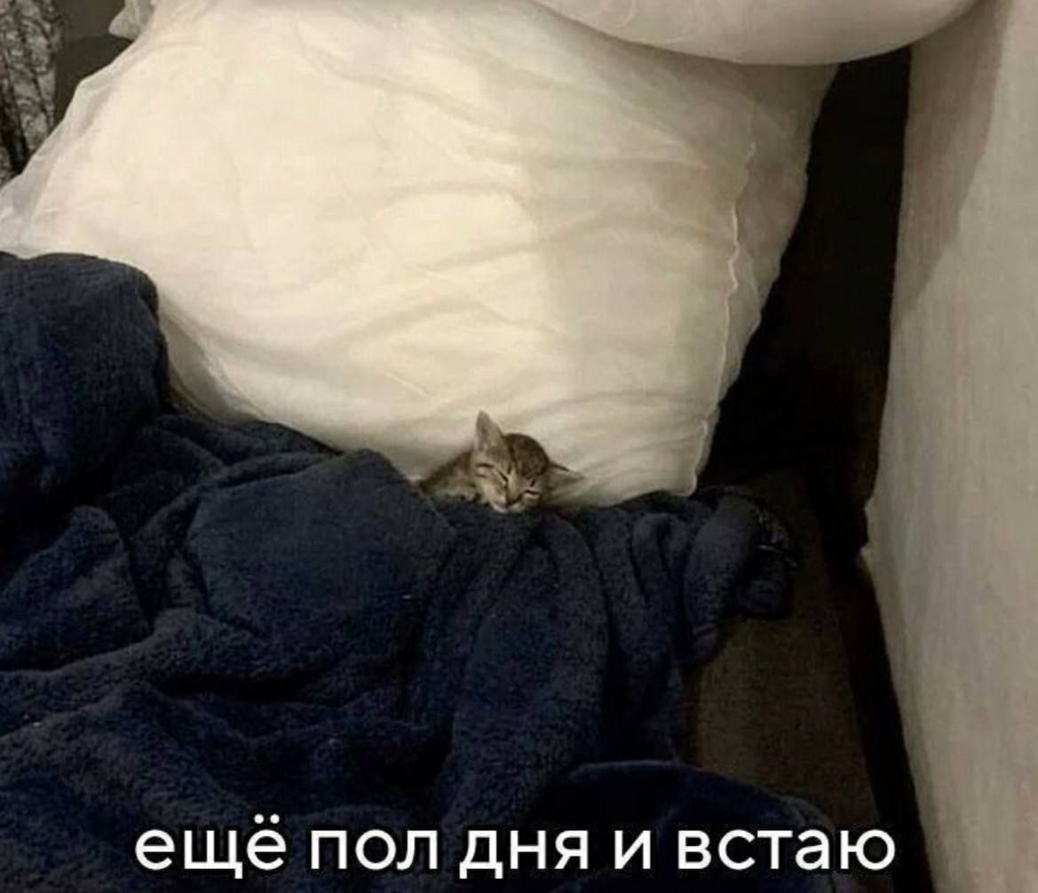 Доброе утро, друзья!. Среда обещает быть солнечной