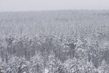 � ��������� ������� ��������� ������ �� -25�C