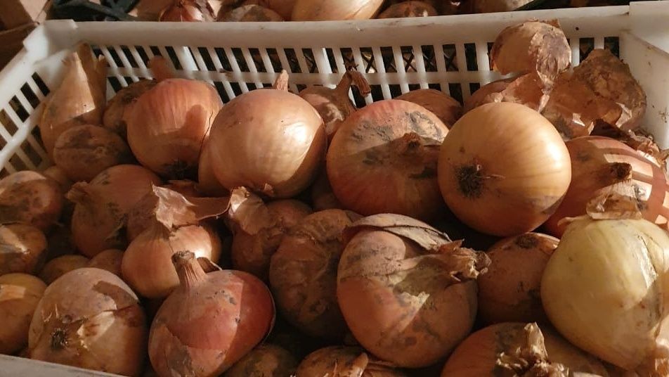 ��� ��������� ��� �� �����: ������������ ������ ��� ��������� ��������