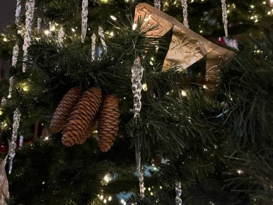 ������ ����!. 14 ������ �������� ����������� ������� -4...-9 �C ��������� �������� ������ � ������������, �������� ������ � ���� �����