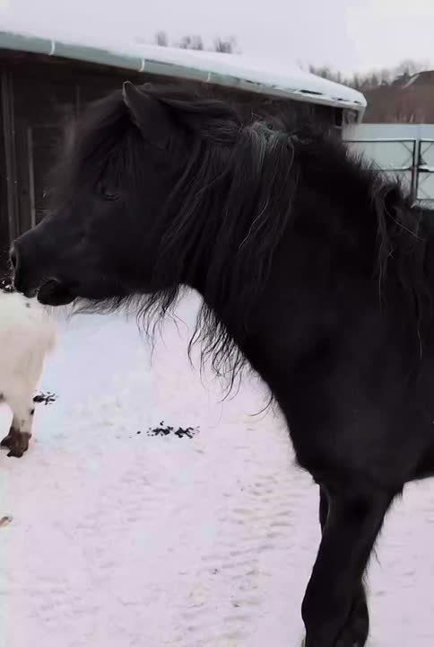 ����������� ���� ������ �� ���������� �������� ������ ���� �������� ���! ��������, ������?