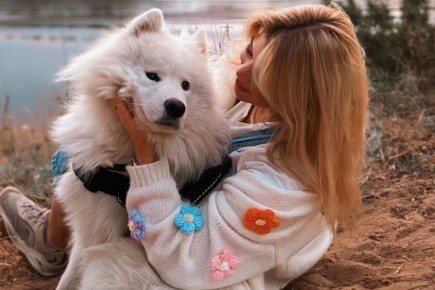 �������� �� ������ � ������: ������� ��������� ����� ���� ���������� ������� �����