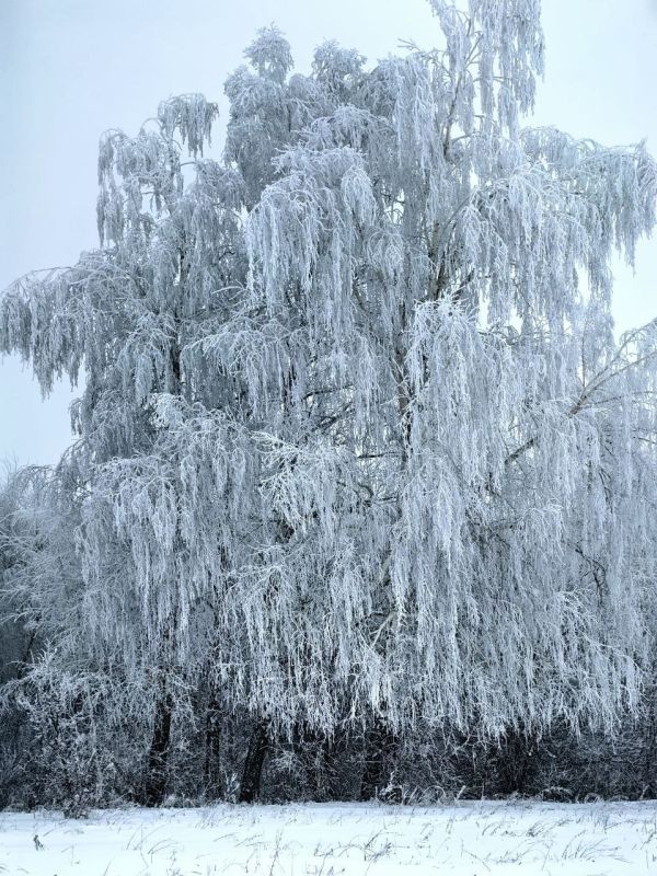 ����������� �����. ���������, ��� ����� �