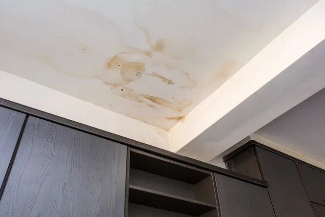 ��� ���������� �� ������� ����� �� �������: ������� ������ � ������������