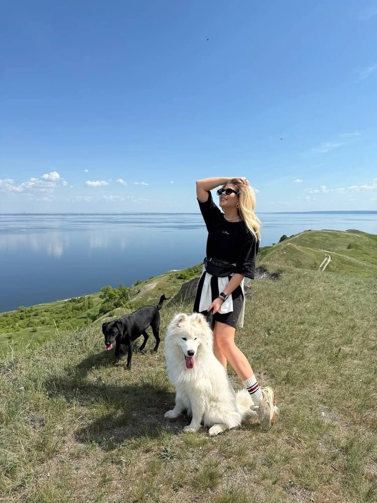 Погнался за зайцем и пропал: хозяева четвертые сутки ищут убежавшего самоеда Барни Погнался за зайцем и пропал: хозяева четвертые сутки ищут убежавшего самоеда Барни