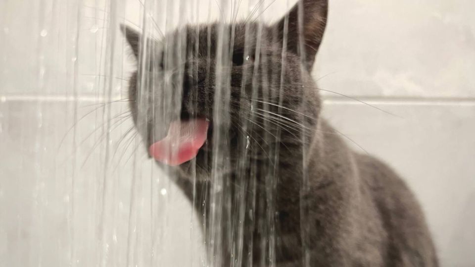 18 ���� � ������ ��������� ��� �������� ���� 15 ������