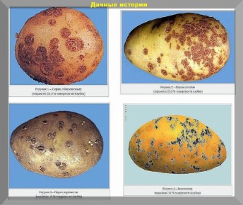 ������ ��� ���������� ���������: ������ �� ���������� �������