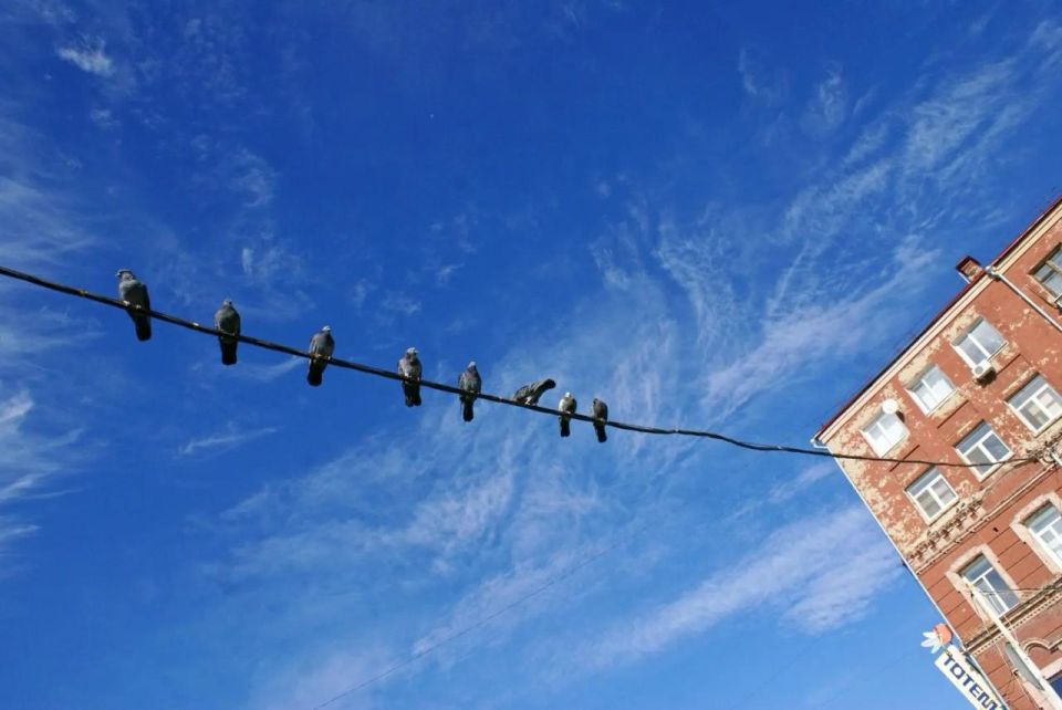 ��� ������������ ����� � ���� ��� ��������� �������� 15 ������