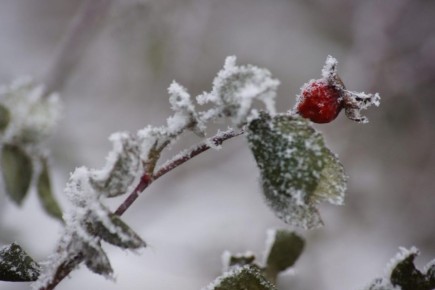 ������� ������ �� �30 �������� ����������� �� ��������� �������