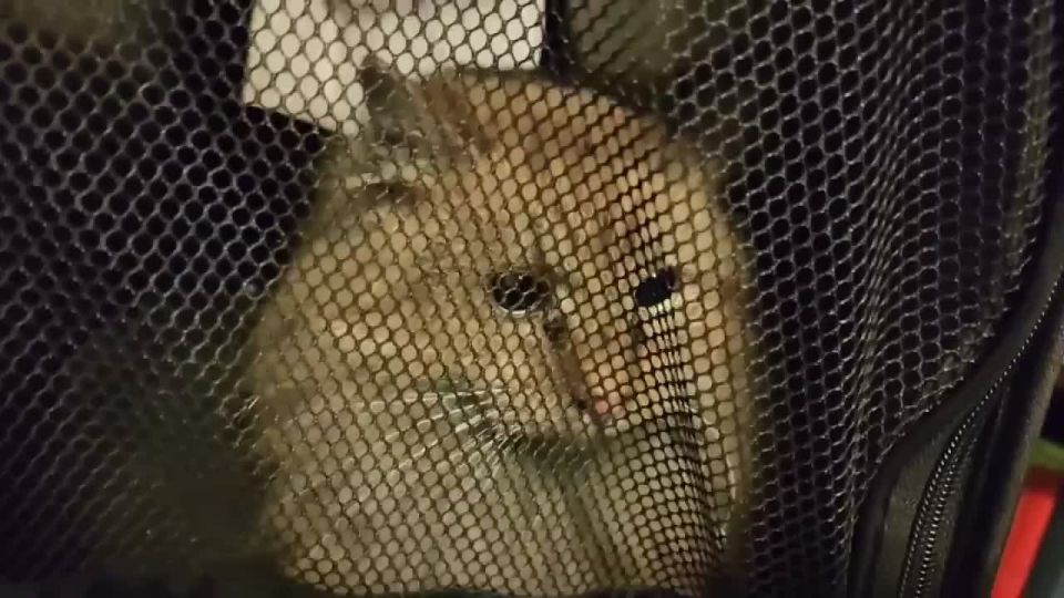 ������ ����, �������� ������ ���� ������ ��������� �������� ��������� �� �������� � ������������ ���� ����������, ������