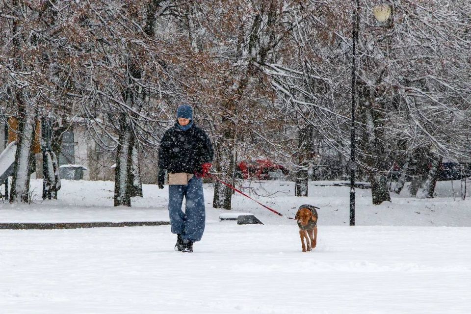 ������������� ��������� ������� ������� ��� ������� ��� �������� ����������� �����