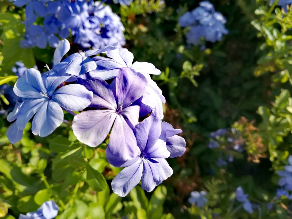 ������� ���������� ����: 5 �������������, ������� �������� ������� � ������� ����������� ������