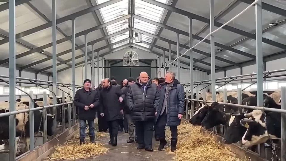 ����� �������-�������� ����� ��������� � ������� ������ ��������� ������������� ������