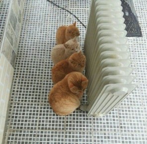 ������ � -30 �������� � ��������� �������