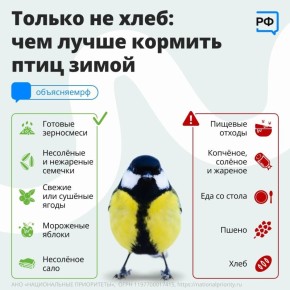 ������� ������ - ��� ���� �������� ������� ������