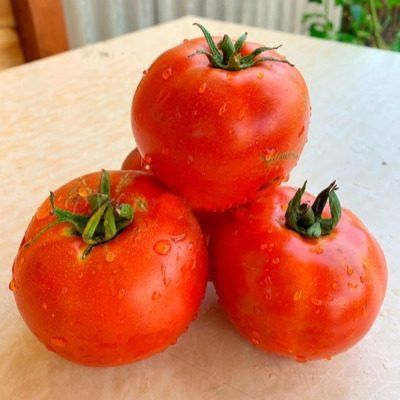 ���������� ���� ������� ���� ���������: ��������������� ������ � �������� � �����