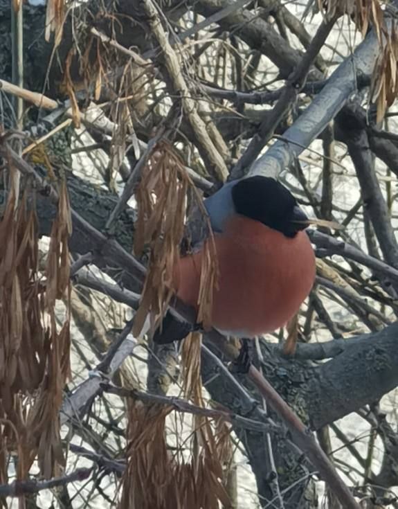 ���� ������������ ��������� ������ �������� ������� ������!