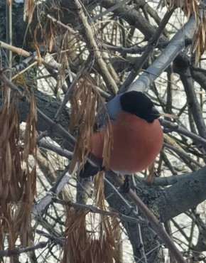 ���� ������������ ��������� ������ �������� ������� ������!