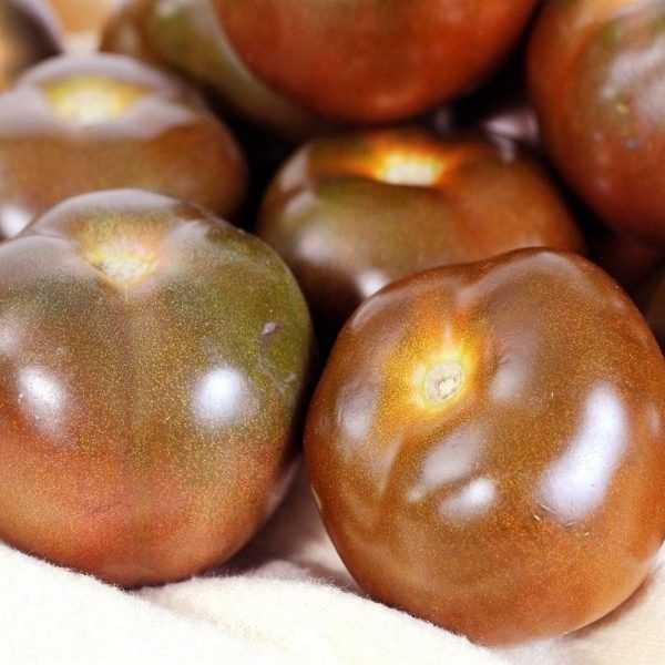 ���������� ����� ���� ���� ������� ����������: ��������� ������� ����