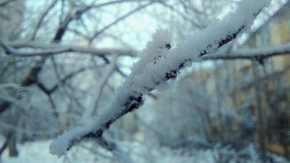 � ���� � 18 �� 19 ������ � ��������� ������� �������� ���������� ������