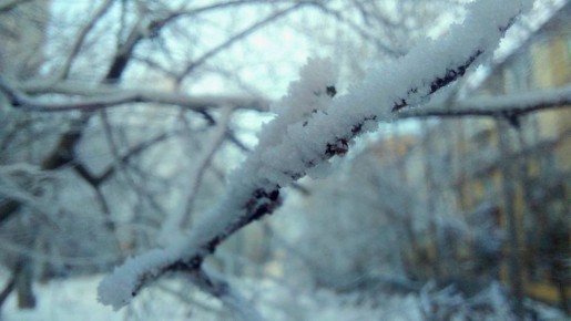 � ���� � 18 �� 19 ������ � ��������� ������� �������� ���������� ������