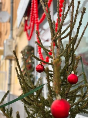 ������ ��������� ����, ������!