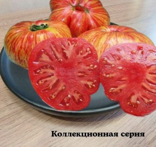 ����� �������� ����: ������� ������ ������ � ������� �����������