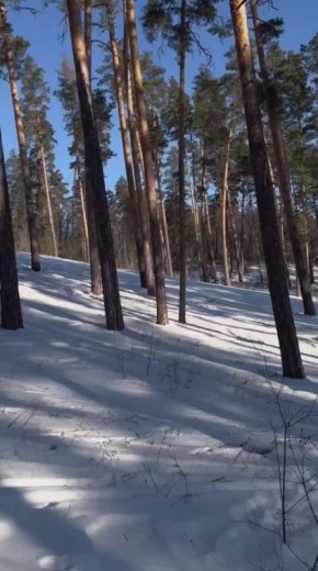 ������ - �� �������� ��� �����������!