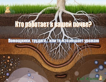 ����� � �����: ��� ������ ��������� ���������� ������ � �������� ��������