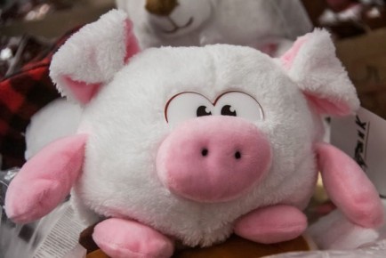 ��� ��������� ����� ������� ������� ��� ���������: �����, ������� �������� ���� � �����������