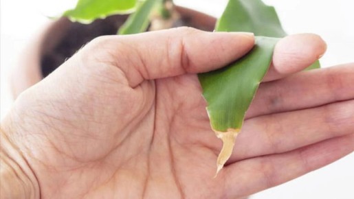 ������� �������� �������� �������� � �������� ����� ����