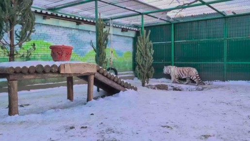 ������������ ����� ����� �� ���������� �������� ���������� ���� � ������