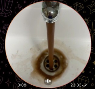 ������ ������ �������� �� �������� ���� �� ������ ����-�������, 24. �������� � �������������� � ���� ���� ������������ � 17 ������