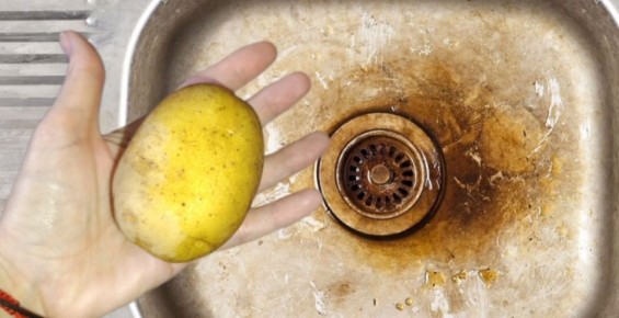 ��� ���������� �� ��������: ������� ������ � ��������