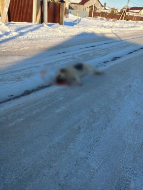 ������� � �����: ��������� � �������� ������ ����� ������ ����� �� �������� �����