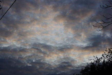 ��� ������������ ����� � ���� ��� ��������� �������� 20 ������