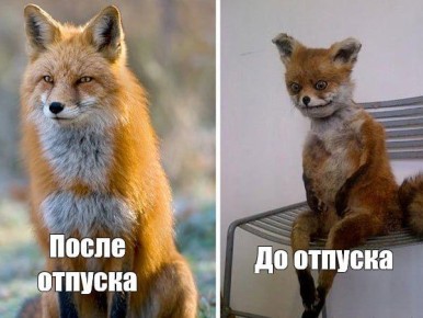 �������� ����� ����������������� ��� ������� � ��� � ��������