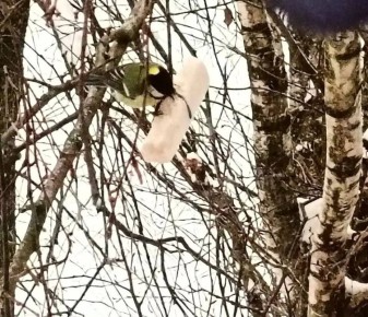 ������� ��� �������. ���� ������ ���������� , ���������� �������� ������ ���������, ��������� ����������� ������� ����������� ��������� ������� ������� ������� ���� �������