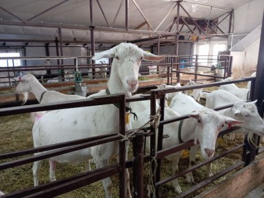 123� ������������� ��������� ������� ���������� ������� ����������� ��������� ��������� ��� �������� �������� ����