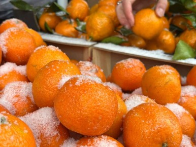 � ������ ������� ���������� ����� � ������������ ������ �� 85 ��� ������