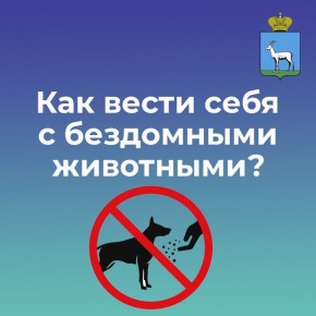 ��������� ��������... ������ ��� �������� ������ ����� ������� �� ����. ��� �� ����� ���� ���������?