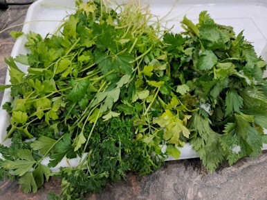 ������� ����-���: ��� �������� ������ ������ ���� �����