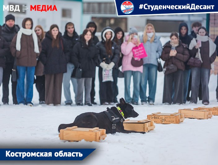 В преддверии Дня российского студенчества, который приходится на Татьянин день, стартовала Всероссийская акция #СтуденческийДесант В преддверии Дня российского студенчества, который приходится на Татьянин день, стартовала Всероссийская акция #СтуденческийДесант