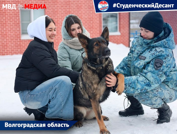 В преддверии Дня российского студенчества, который приходится на Татьянин день, стартовала Всероссийская акция #СтуденческийДесант В преддверии Дня российского студенчества, который приходится на Татьянин день, стартовала Всероссийская акция #СтуденческийДесант