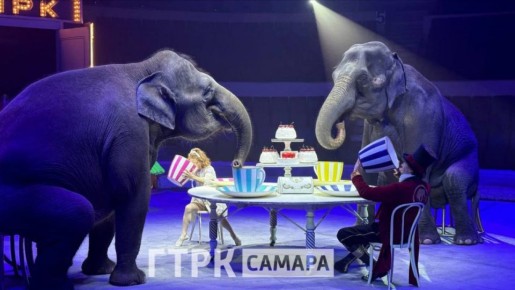 � ��� �� ������� � ���� �������� �����?