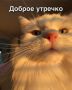 Доброе утро, друзья!. Сегодня нас ждет отличная погода - облачно с прояснениями, обойдется без существенных осадков