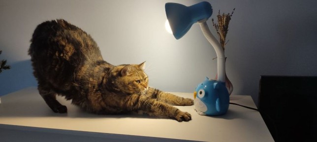 ������ ������ ����!. 23 ������ ���������� ������� -16...-21 �C �������������� ������������ ������, ��� ������� ����� ������-���������, 3...8 �/� ���� ������ MAX l�� l�� l����