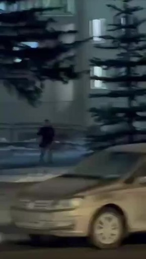 В Самаре слон сбежал из цирка и некоторое время бродил по улицам