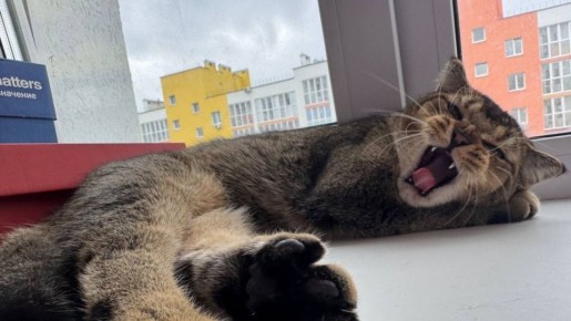 ������ ����!. �������, 24 ������, �������� ����������� ������� -16...-18 �C ��������� ������������ ������������ ������, ��� ������� ����� ������-���������, ��������, 2...7 �/�. ���� ������ MAX l�� l�� l����